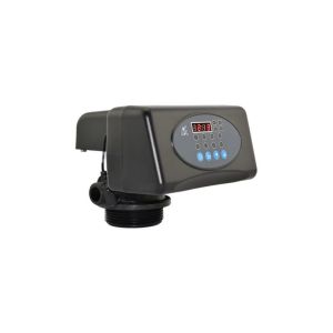 RUNXIN F71P1 VALF FİLTRE VALFİ