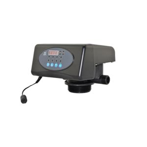 RUNXIN F71P1 VALF FİLTRE VALFİ