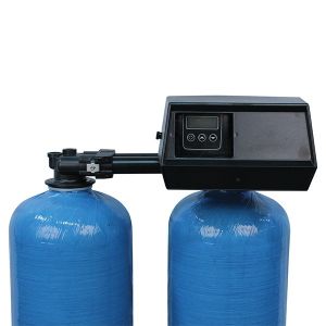 Fleck 9100 Valf